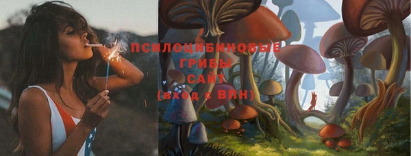 марки lsd Абаза