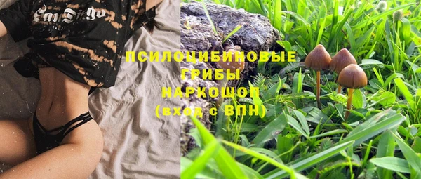 марки lsd Абаза