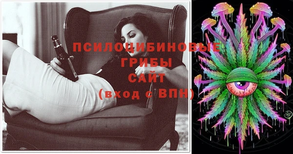стафф Ивантеевка