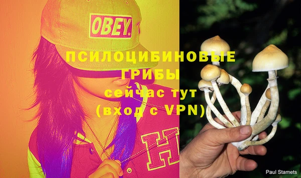 ешки Струнино