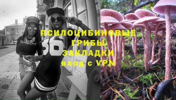 марки lsd Абаза