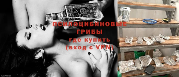 спиды Ивангород