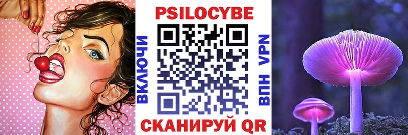 Псилоцибиновые грибы Psilocybe  наркошоп  Белокуриха 